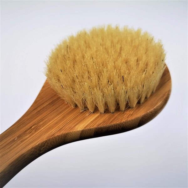 Bath Brush Long Handle 6